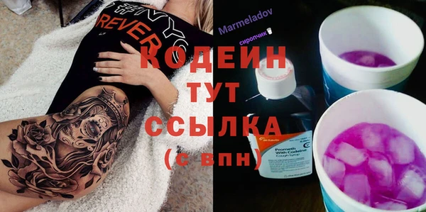 молекула духа Приозерск
