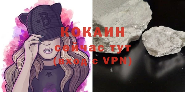 молекула духа Приозерск