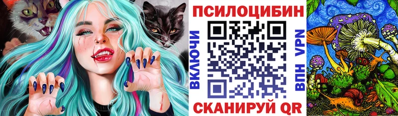 дарнет шоп  Балашов  кракен ССЫЛКА  Псилоцибиновые грибы ЛСД 
